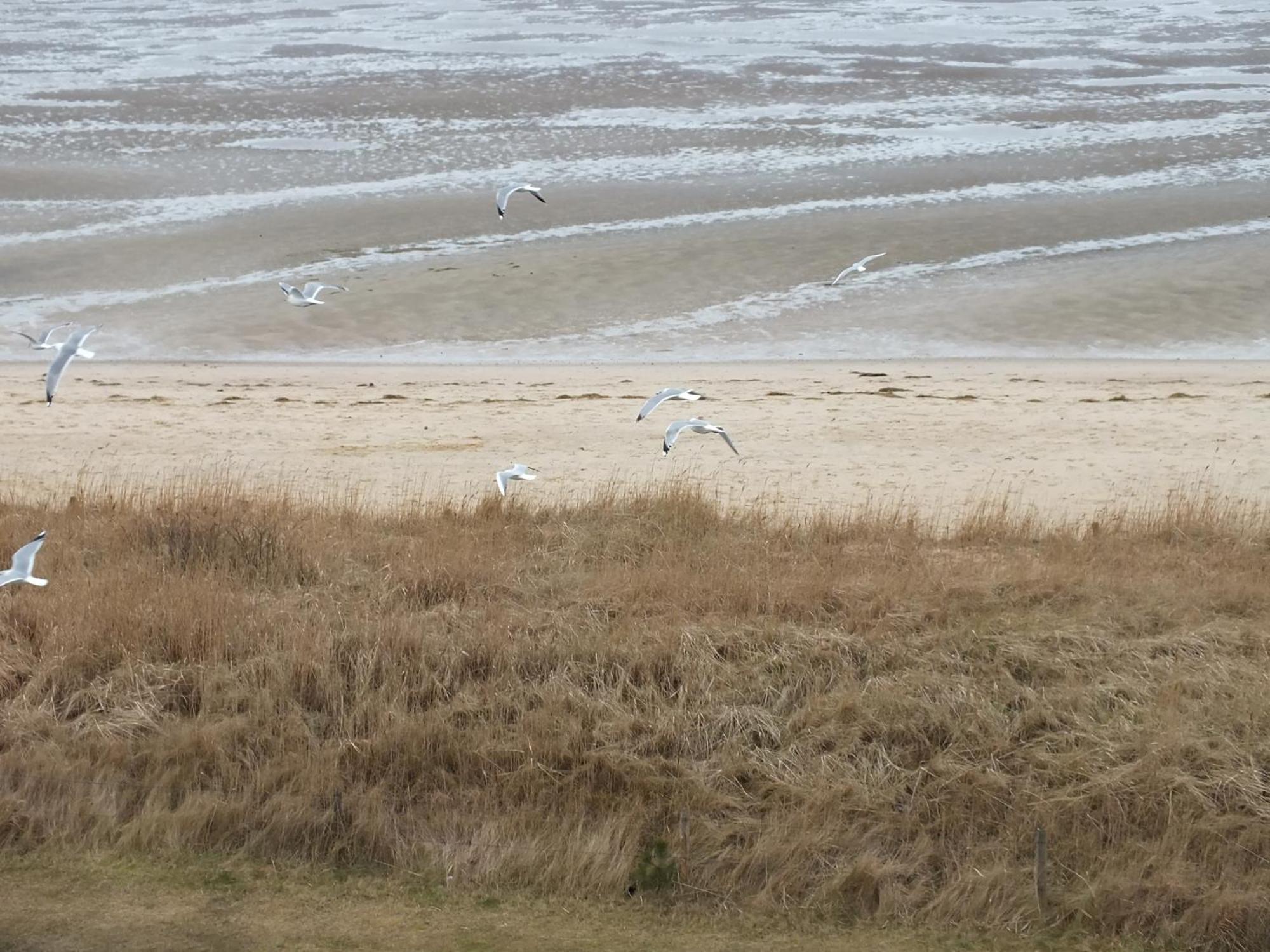 Watten-Blick 1 Cuxhaven Bagian luar foto